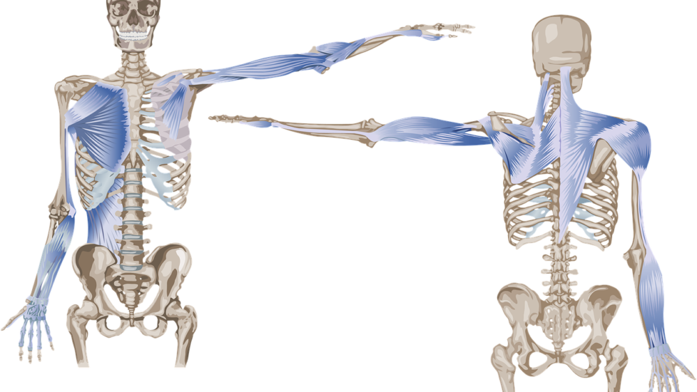 posture alignment process